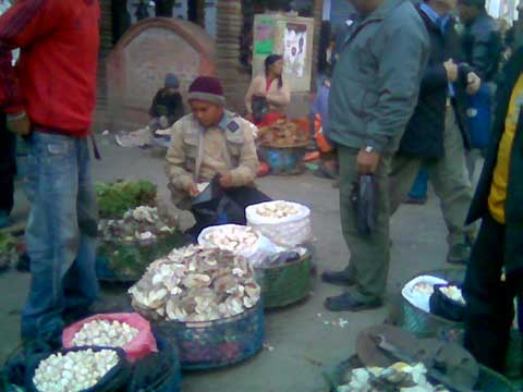 A local mushroom seller