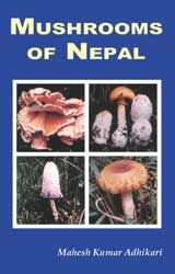 Mushrooms of Nepal