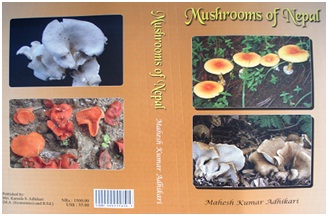 Second Edition Cover