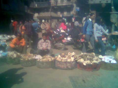 A local mushroom seller